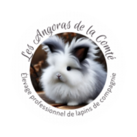 Bébés